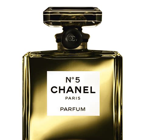 kohl's chanel perfume|chanel no 5 fragrance notes.